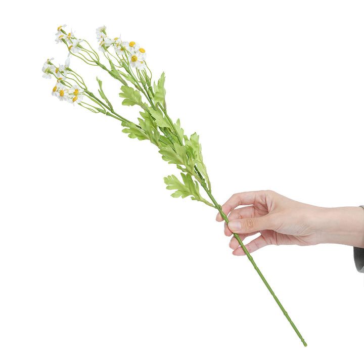 Realistic Yellow Wildflower Stem