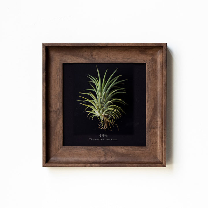 Artistic Botanical Art Frame for Home Decor