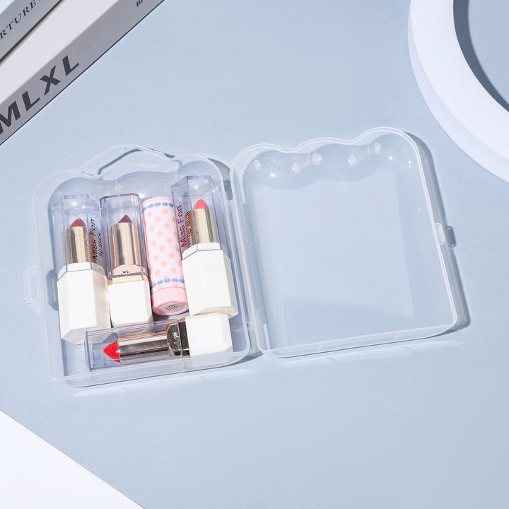 Multi-Purpose Transparent Storage Case Kalsten