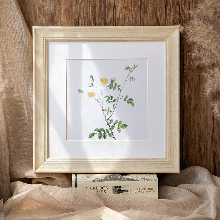 Decorative Botanical Art Frame