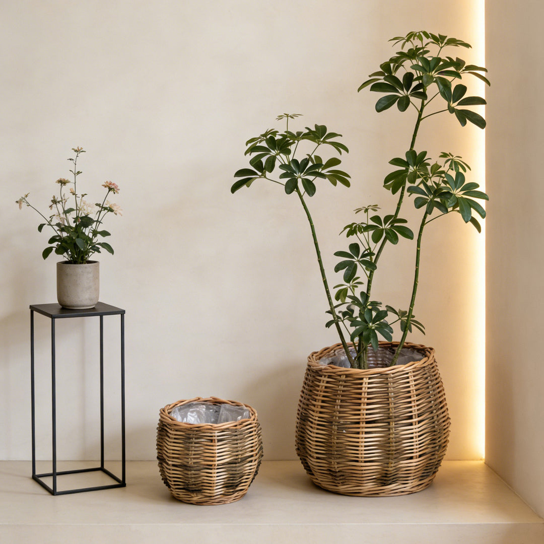 Handcrafted basket with natural flair Kalsten