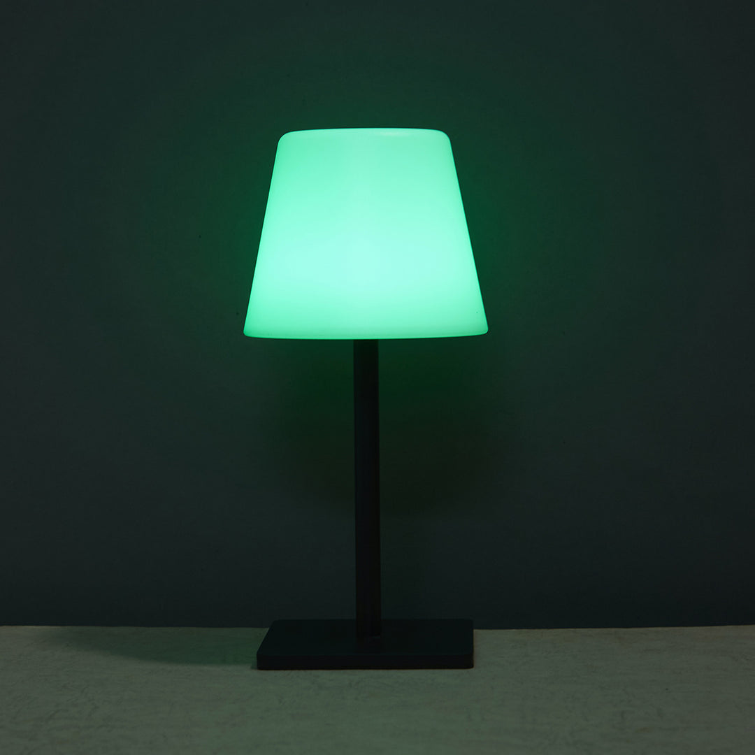 Modern Decorative Touch Lamp