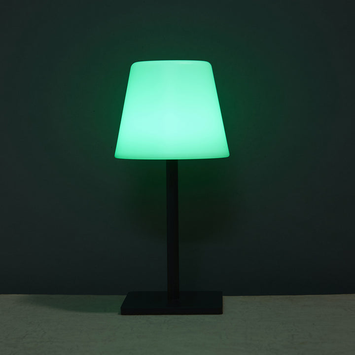 Modern Decorative Touch Lamp