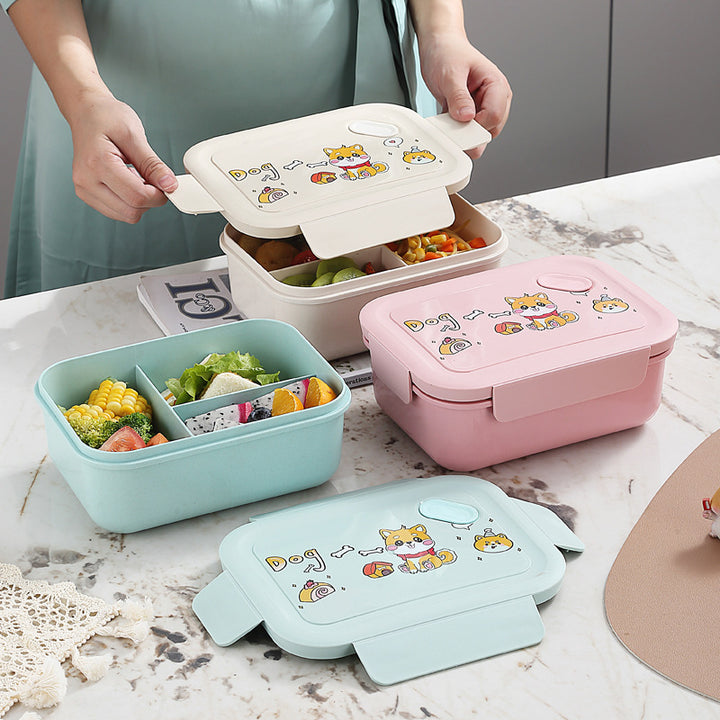 Playful Multi-Compartment Lunch Box