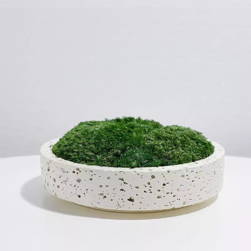 Decorative Garden Planter