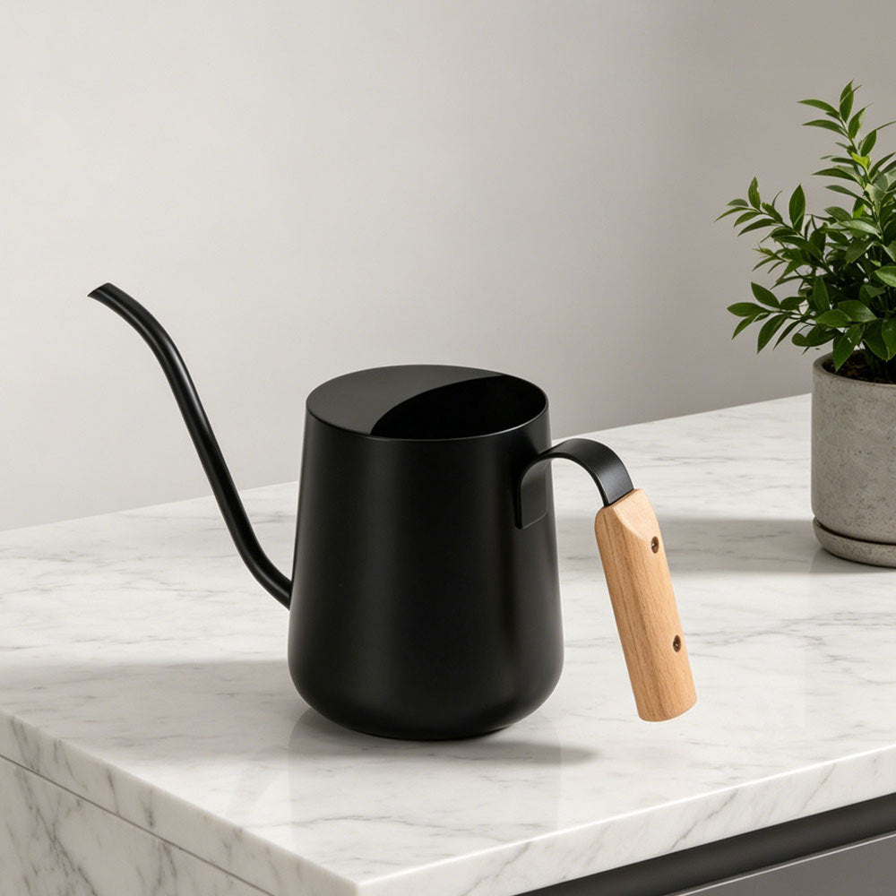 Elegant Stainless Steel Watering Can