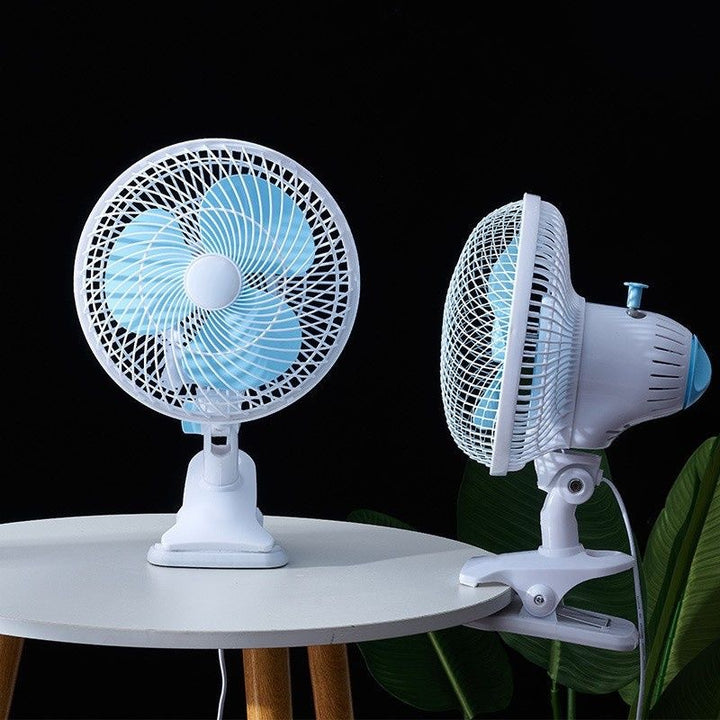 Fan Kalsten
