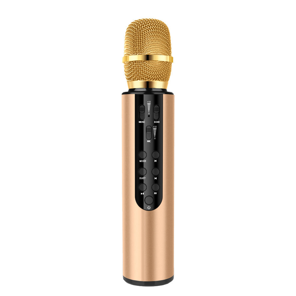 High-Performance Karaoke Microphone Kalsten