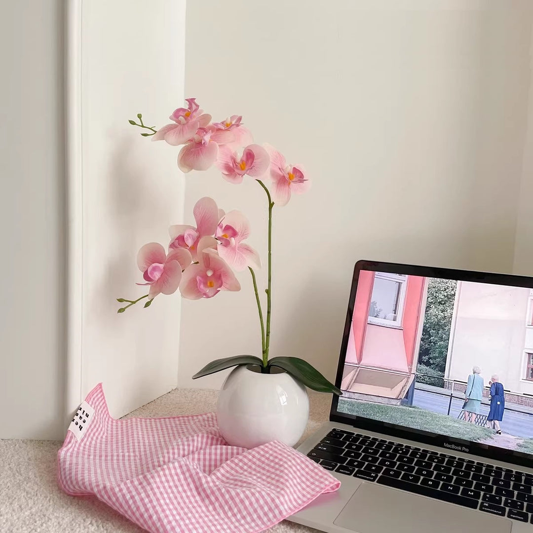 Decorative Orchid Arrangement