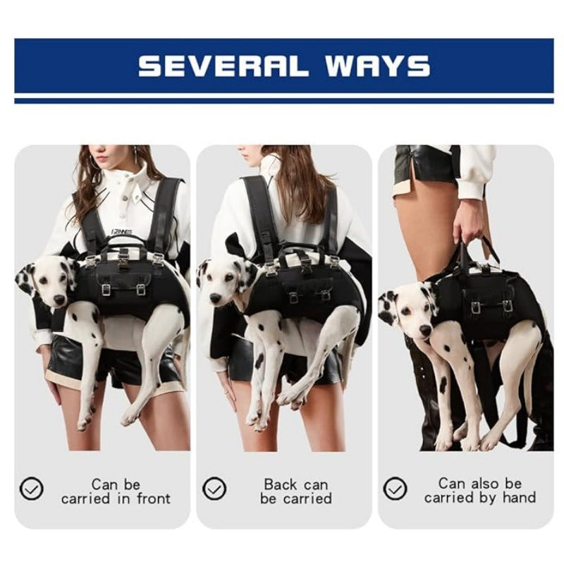 Harness for Small Dogs Kalsten
