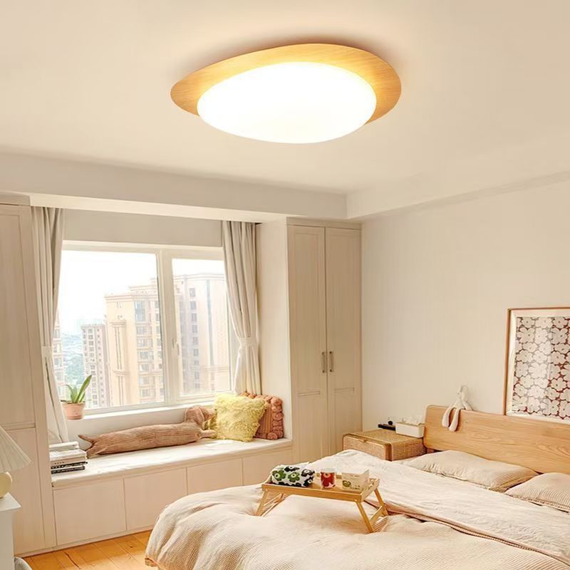 Modern Decorative Ceiling Light