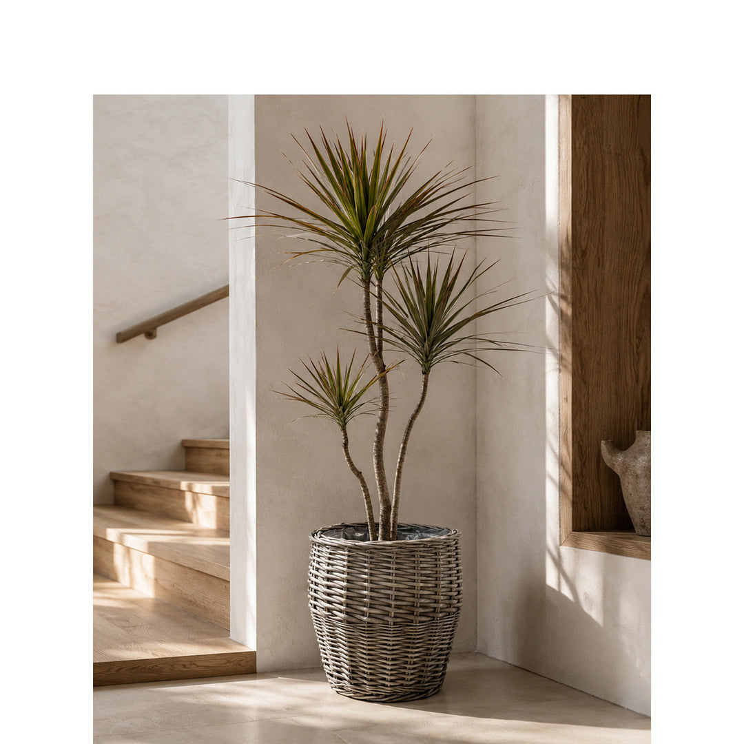 Decorative Laundry Basket Kalsten