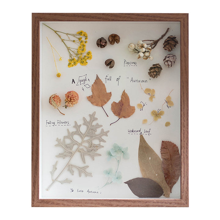 Decorative Butterfly Wall Art for Home