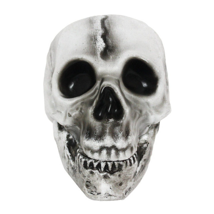 Decorative Halloween Skull and Pumpkin Set Kalsten