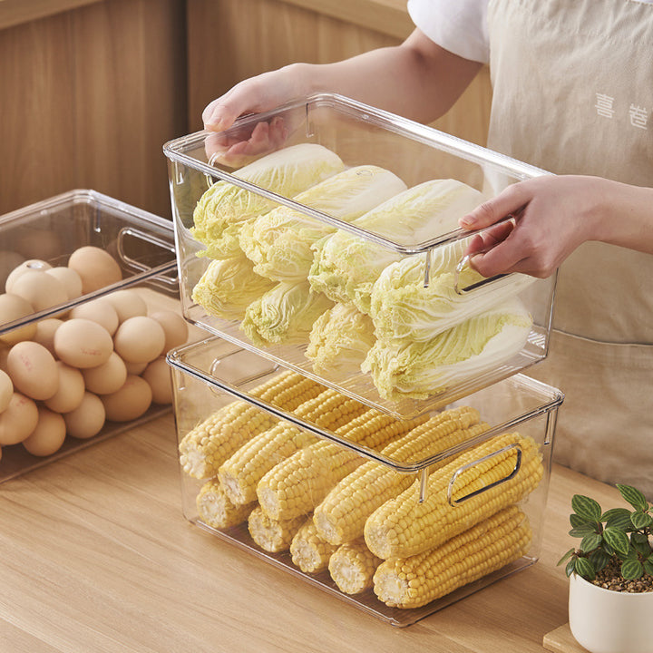 Flat transparent acrylic storage lid with sealing lip and elevated stand feet