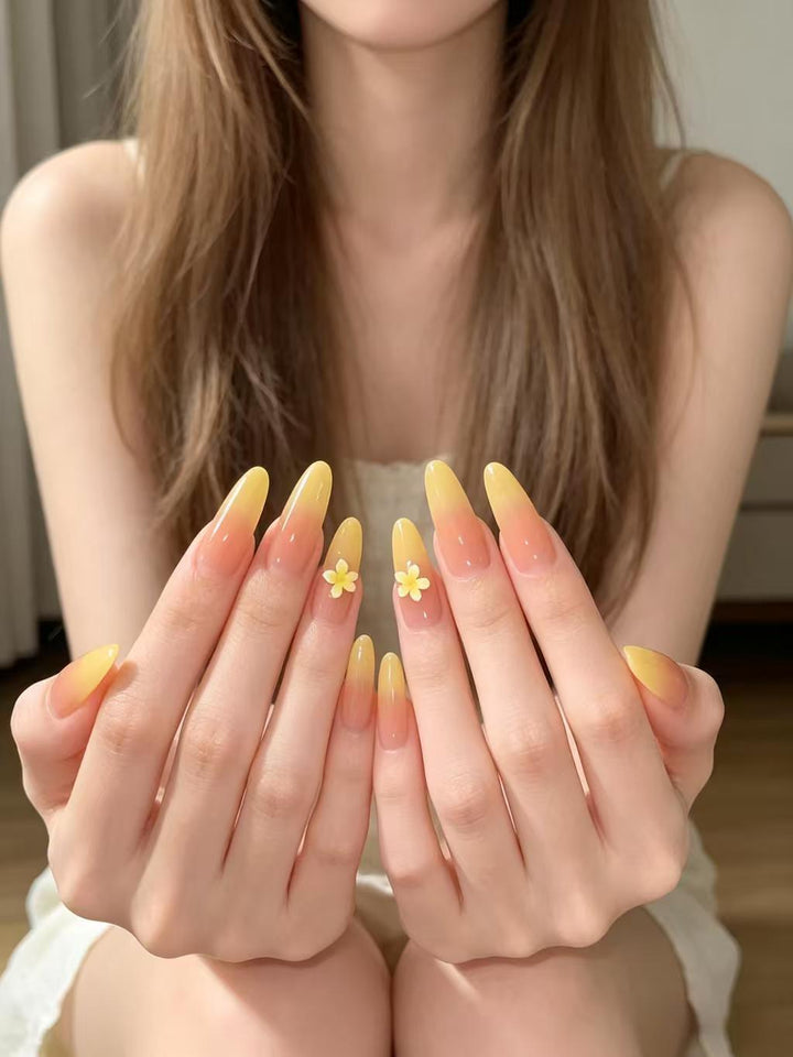 Elegant Ombre Nail Extensions