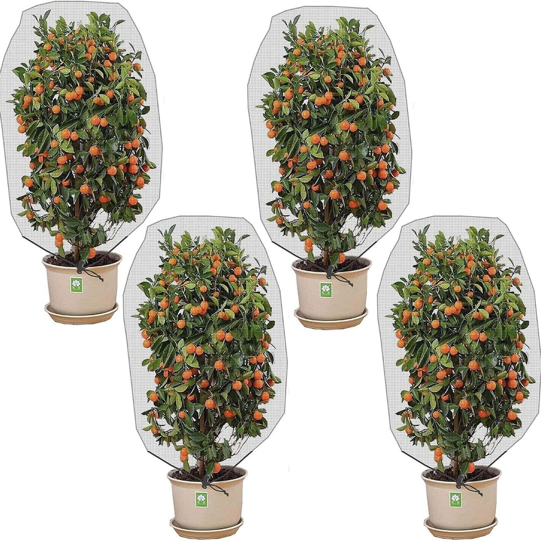 Plant Protection Cover Kalsten