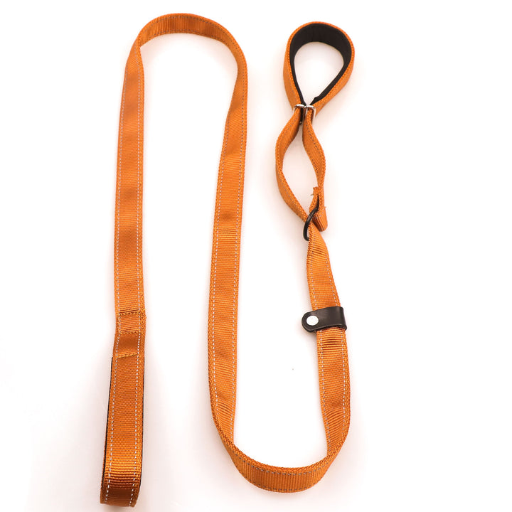 Pet Leash