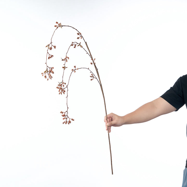 Delicate Cherry Blossom Stem