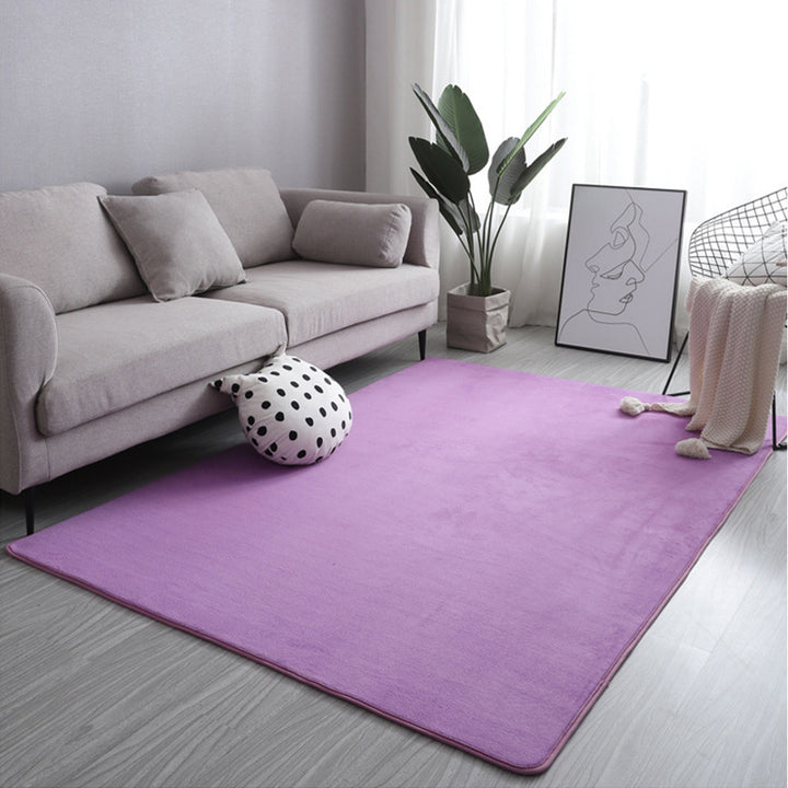 Cozy Area Rug for Indoor Home Decor