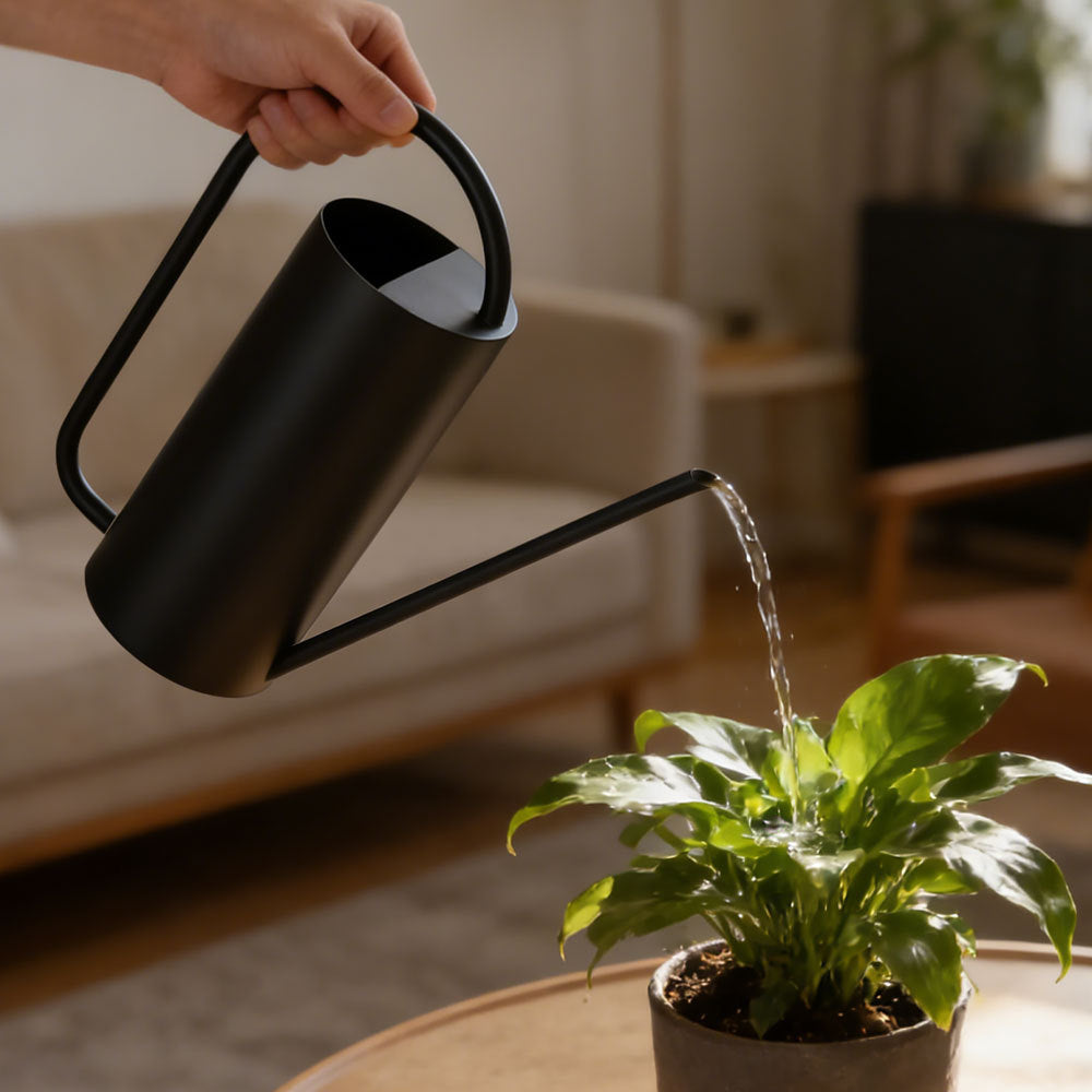 Modern Minimalist Watering Can
