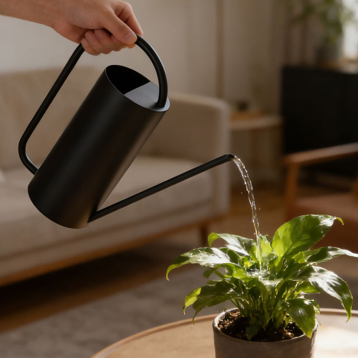 Modern Minimalist Watering Can