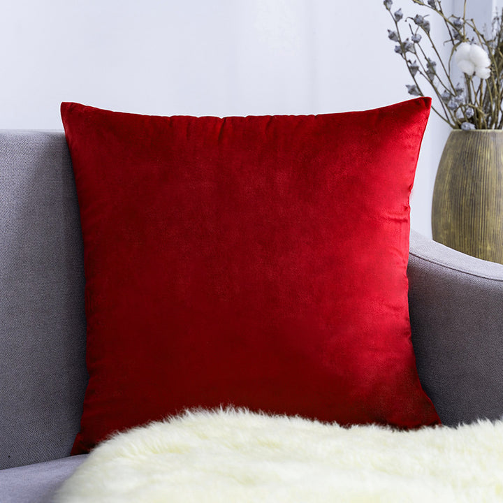 Ultra-Soft Velvet Square Decorative Pillow Cover with Minky Back and Invisible Zipper