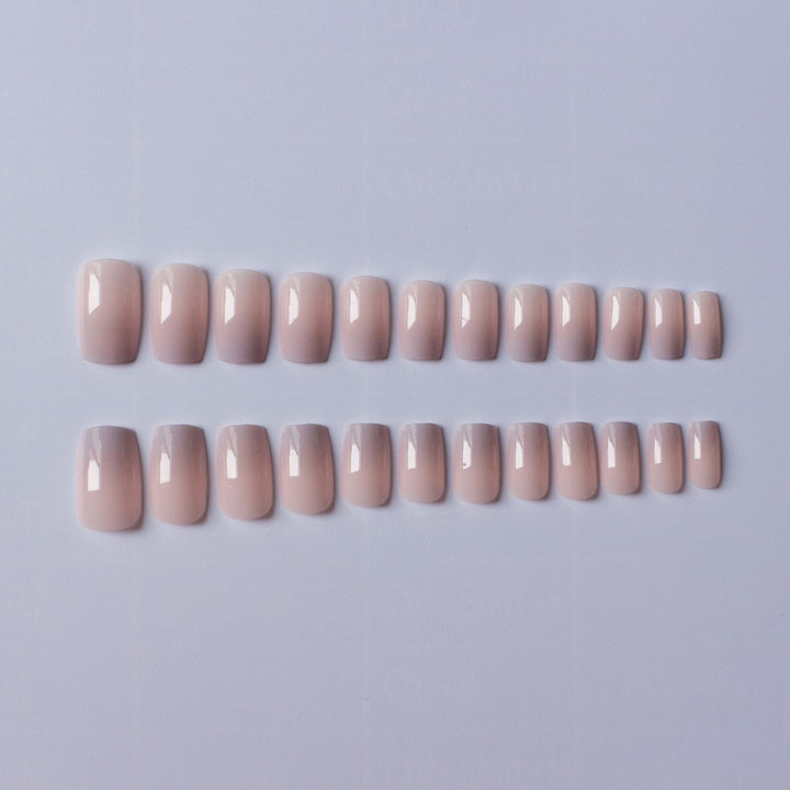 Elegant Ombre Gel Nail Art