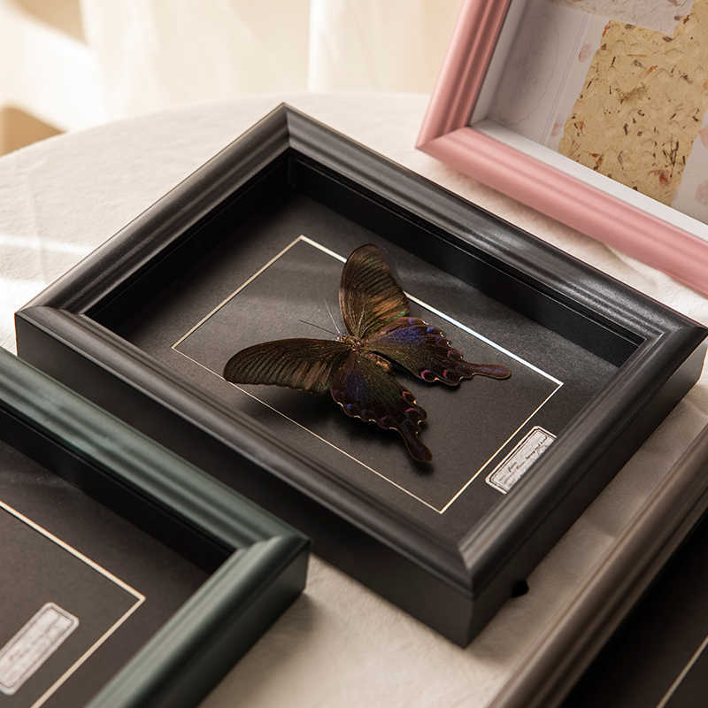Decorative Art Display Frame