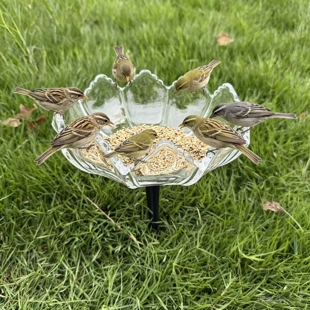 Elegant Bird Feeding Station Kalsten