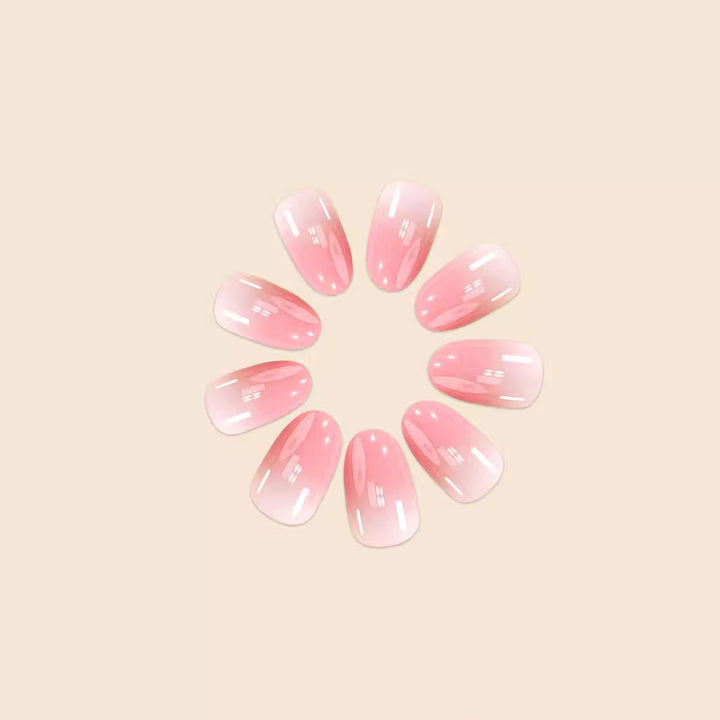Ombre Gradient Nail Art Extensions