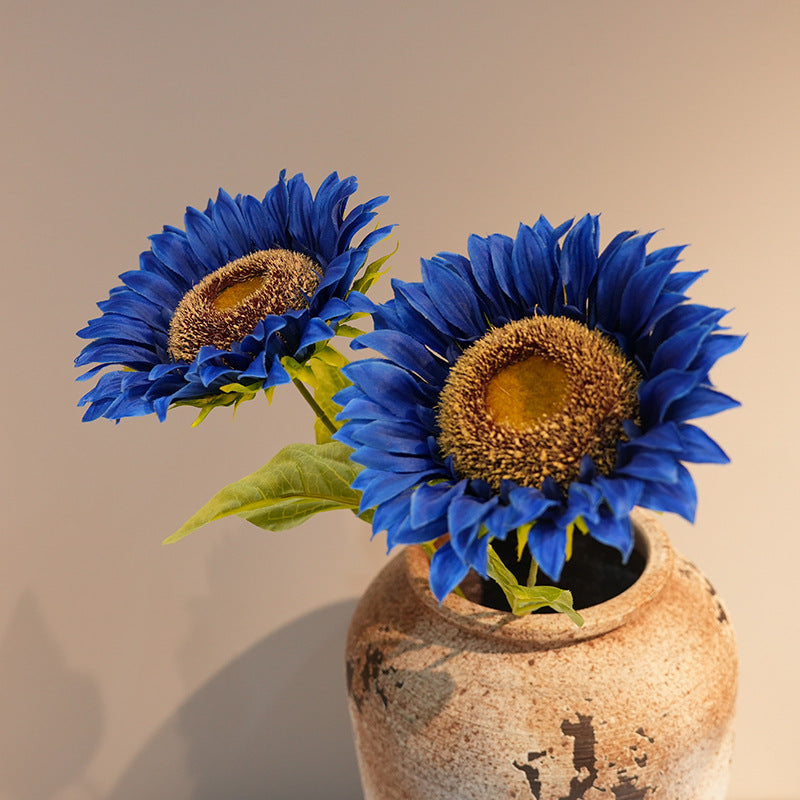 Decorative Plant Kalsten