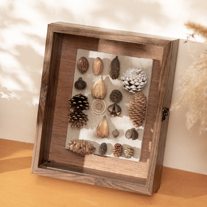 Decorative Nature Collection