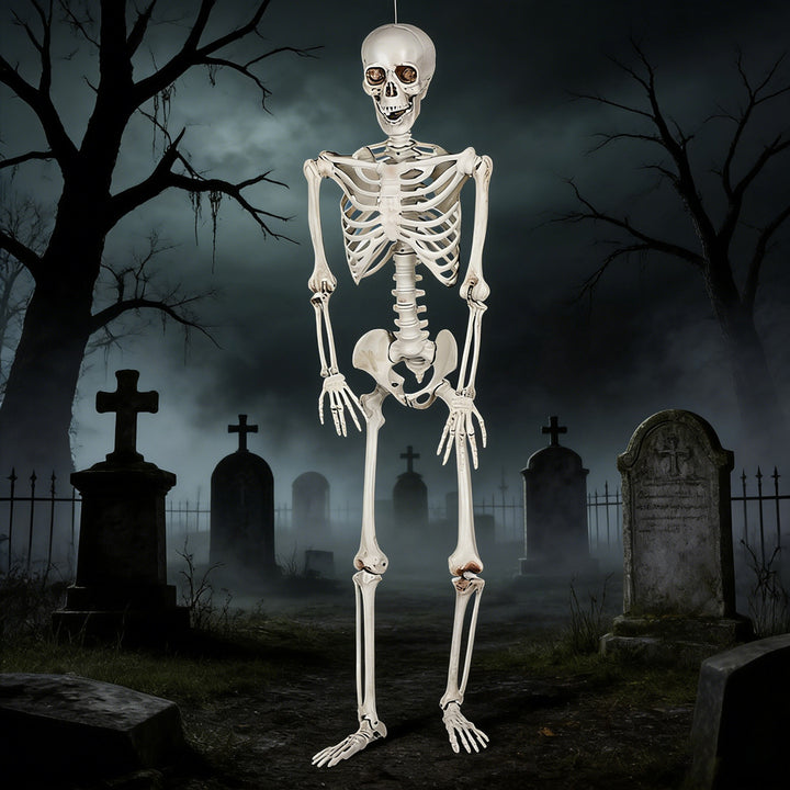 Realistic Life-Size Human Skeleton Decoration Kalsten