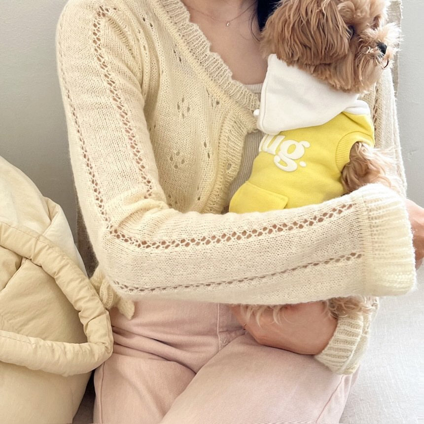 Small Dog Hooded Pullover Sweater with Kangaroo Pocket Appliqué Lettering