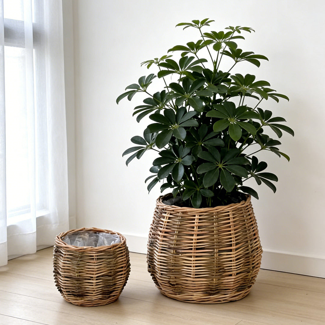 Handcrafted basket with natural flair Kalsten