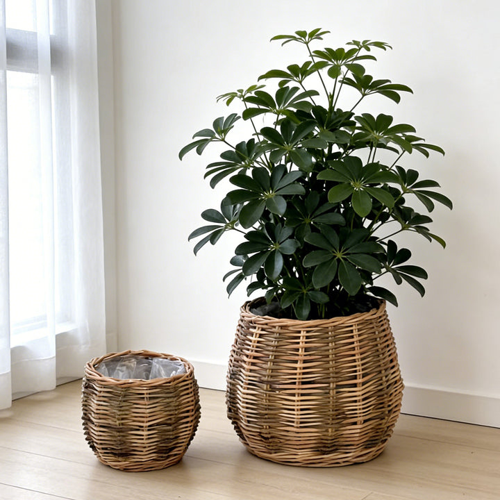 Handcrafted basket with natural flair Kalsten