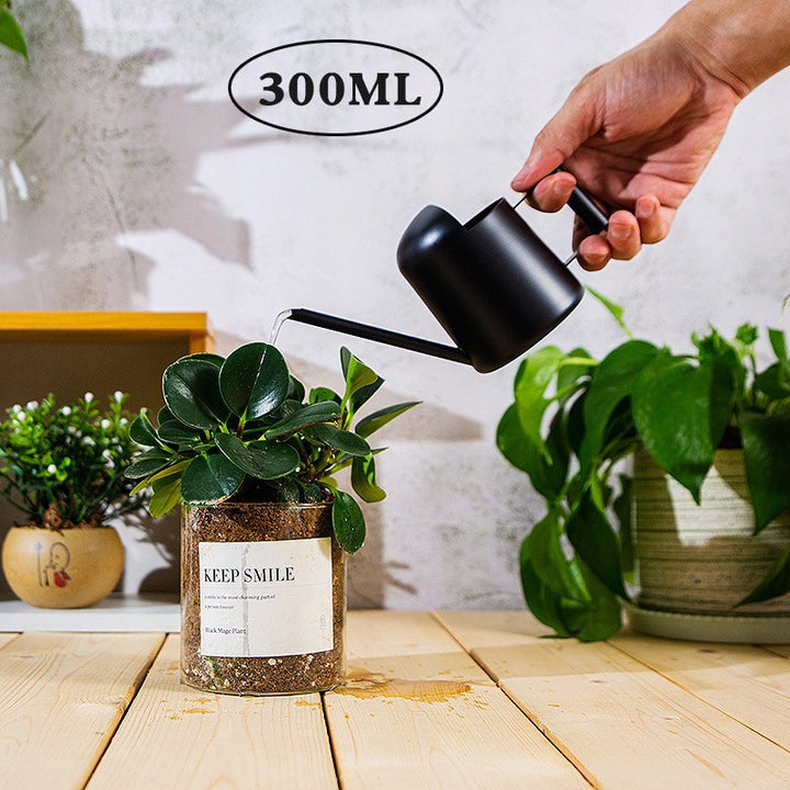 Modern Stainless Steel Watering Can