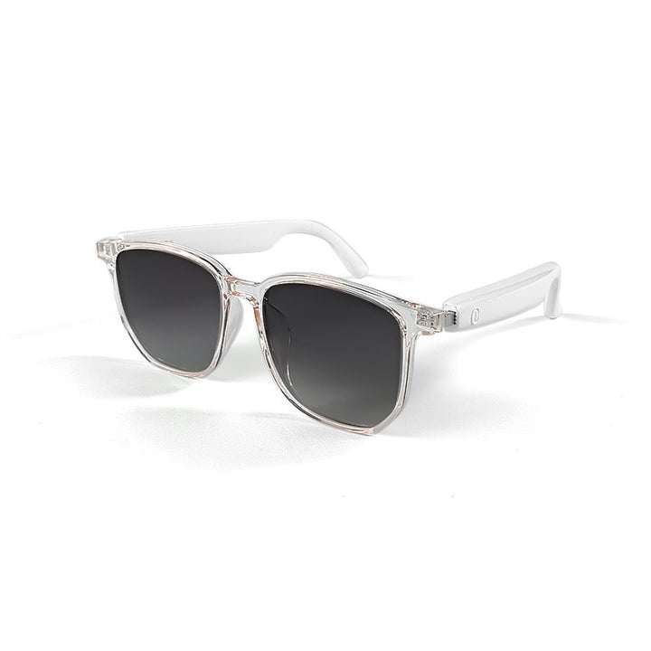 Polarized Sunglasses Kalsten