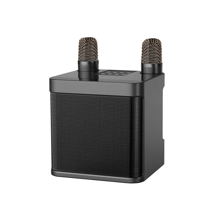 Wireless Karaoke Sound System Kalsten