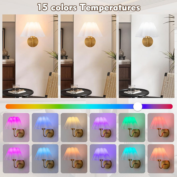 Adjustable Decorative Wall Sconce