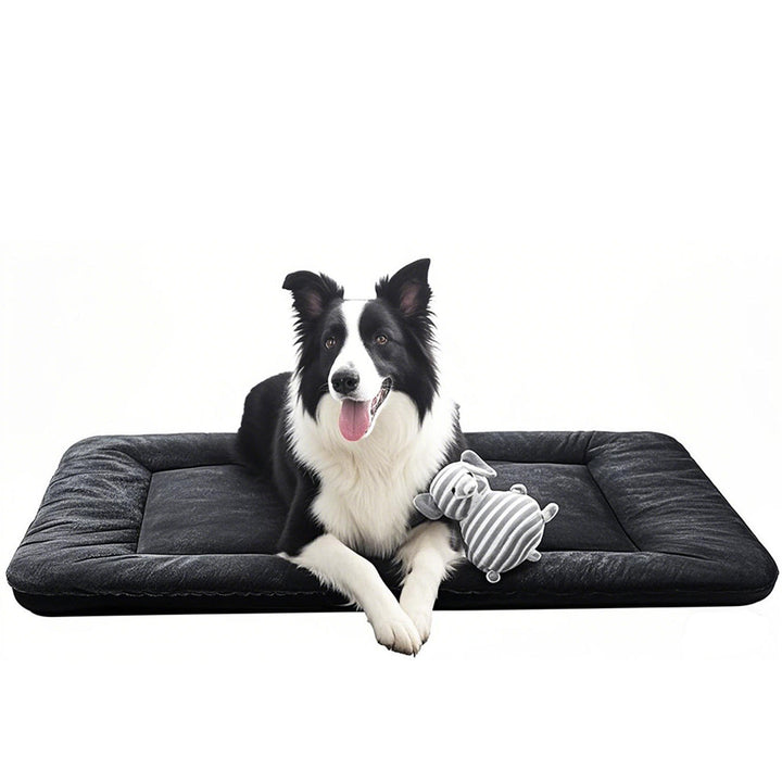Orthopedic Supportive Dog Bed