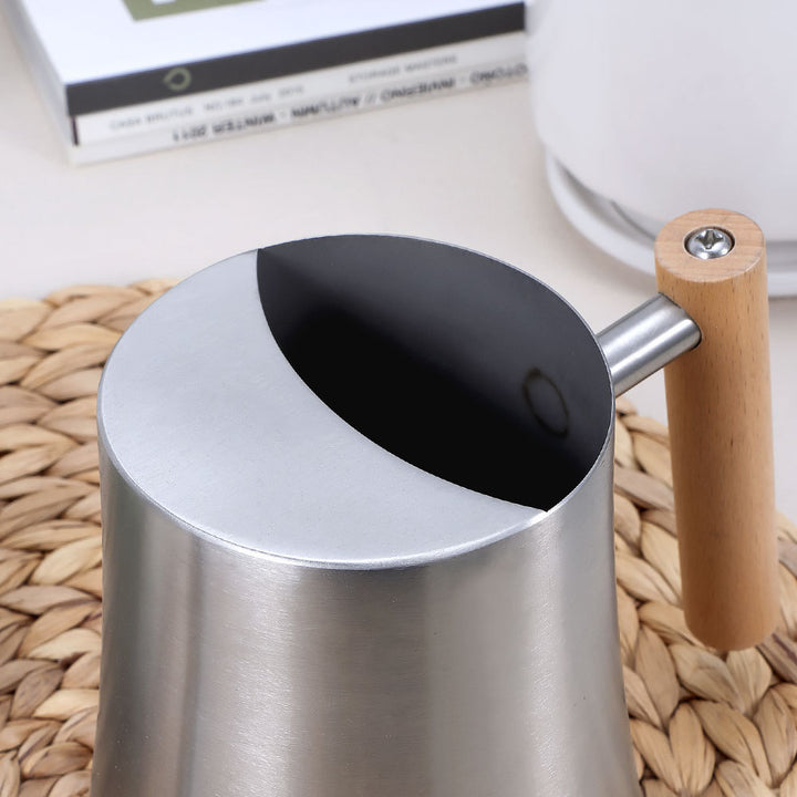 Premium Stainless Steel Watering Pot