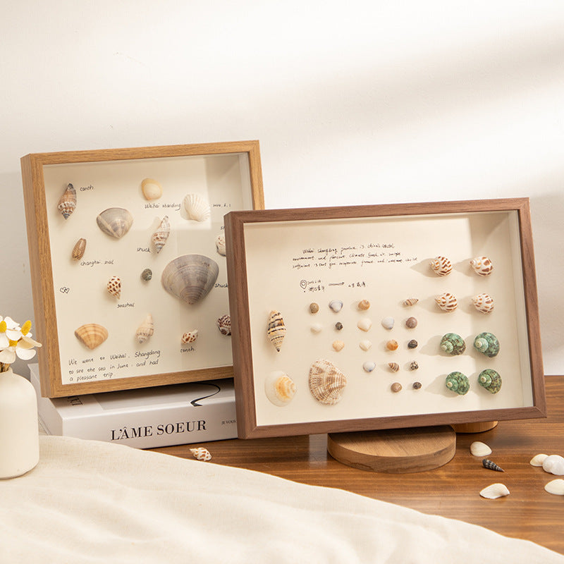 Decorative Shells Display Frame for Home