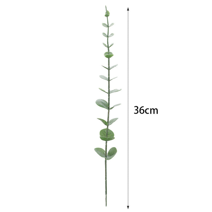 Decorative Eucalyptus Branch
