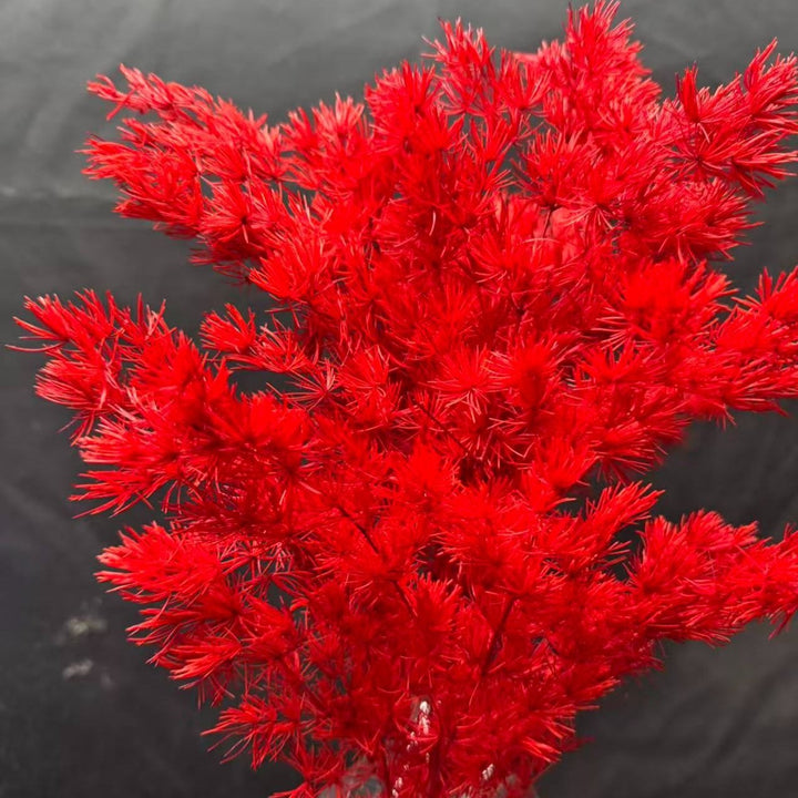 Decorative Dried Foliage Arrangement
