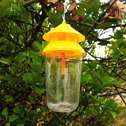 Reusable outdoor insect fly trap with non-toxic bait reservoir and Hanging canopy Kalsten