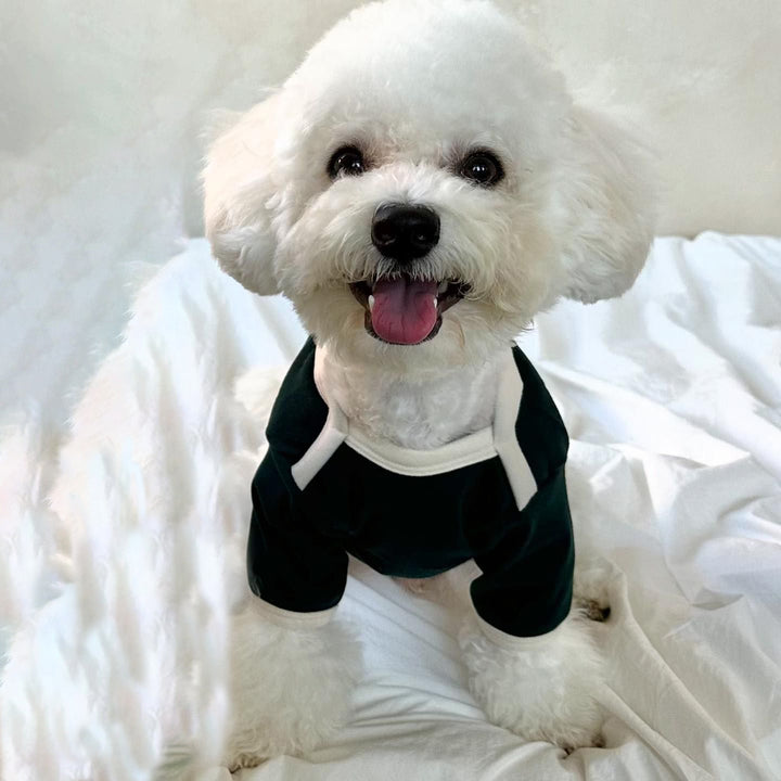 Small Dog Slim-Fit Cotton Jersey Tee