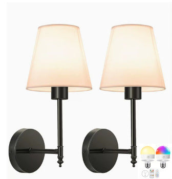 Modern Smart Wall Light Fixture