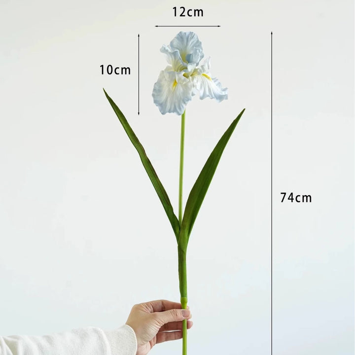Decorative Iris Flower Stem